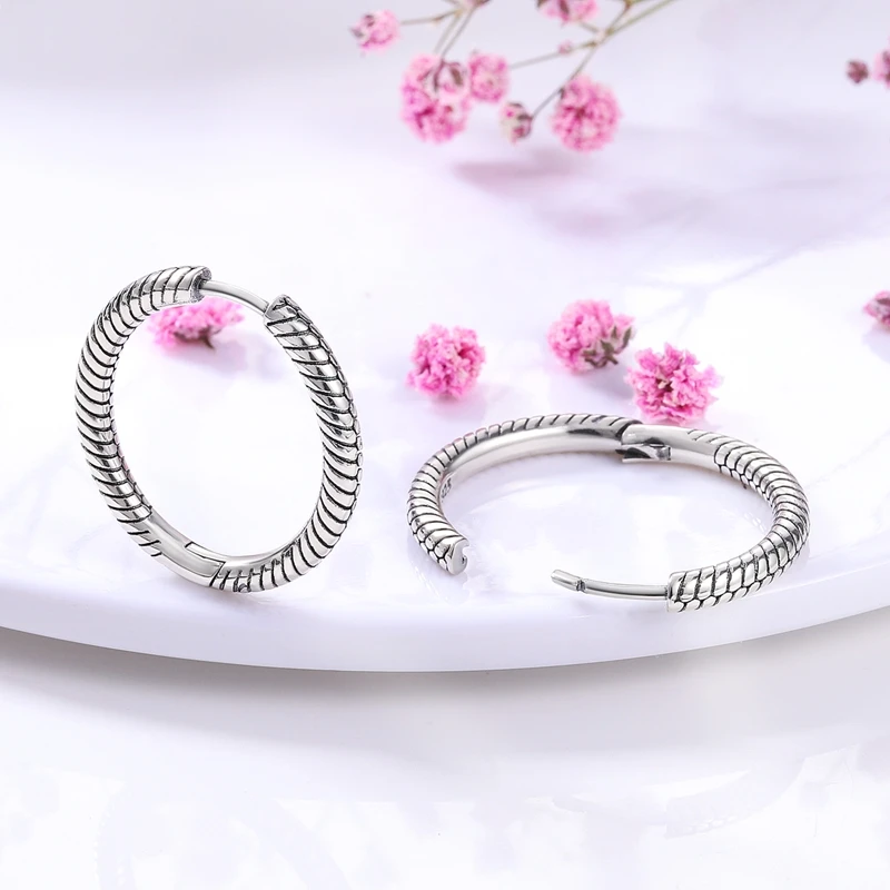 Pendientes de Plata de Ley 925 con Diseño de Pluma del Amor, Compatibles con Charms Originales, para Mujeres y Niñas, Joyería Fina, Regalos Pendientes de Plata de Ley 925 con Diseño de Pluma del Amor, Compatibles con Charms Originales, para Mujeres y Niñas, Joyería Fina, Regalos
