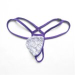 Lencería para Hombre, Bikinis de Encaje Transparente con Bolsa en U, Ropa Interior con Cinturón Delgado, Tanga de Cintura Baja, Tanga Transparente, Pantalones Cortos - Imagen 3