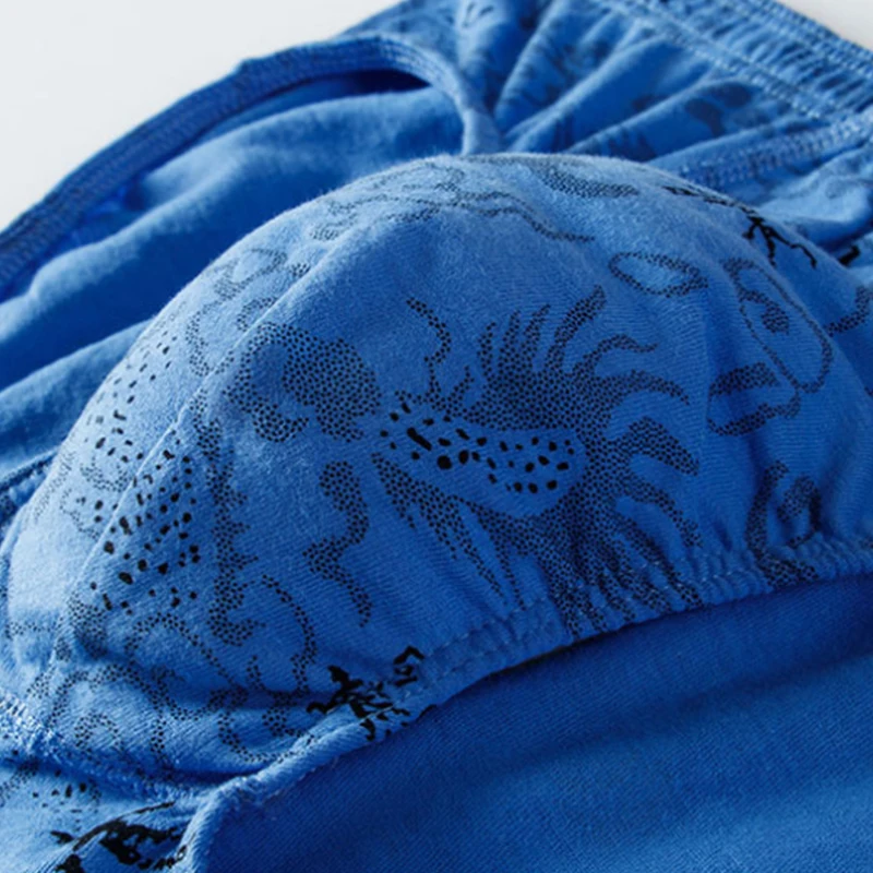 10 Calzoncillos de Hombre con Estampado de Dragón, 100% Algodón, Cómodos, Transpirables, de Talle Medio, Holgados, Tallas Grandes