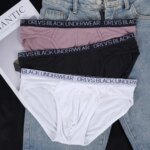 3PCS Calzoncillos ORLVS Triangle para hombre, ropa interior de algodón elástica, suave y transpirable, de talle bajo