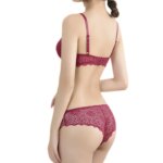 Conjunto de sujetador y bragas de encaje floral para mujer, lencería sexy, sujetador sin aros, bragas de tiro bajo, conjunto de ropa interior, talla única. - Imagen 3