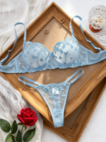 Conjunto de sujetador y bragas de encaje azul estilo francés para mujer, lencería sexy de encaje de pestañas, ropa interior transparente de malla, conjunto de dos piezas.