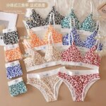 Novedad de verano, conjunto de ropa interior para mujer con estampado de leopardo sin rastro y borde de acero, correa ajustable para el hombro en la espalda - Imagen 3