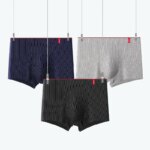 4 unids/lote Boxer para hombre, bragas sexis a rayas, ropa interior, bragas sexis, calzoncillos, pantalones cortos, ropa interior de moda, Boxers de lencería, calzoncillos - Imagen 2