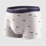 Calzoncillos de algodón para hombre, ropa interior Sexy, transpirable, de marca, 4 piezas - Imagen 4