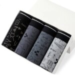 Calzoncillos de algodón para hombre, ropa interior Sexy, transpirable, de marca, 4 piezas