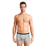 Calzoncillos de algodón para hombre, ropa interior Sexy, transpirable, de marca, 4 piezas - Imagen 5