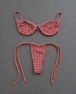 Bikinis con Estampado a Cuadros, Trajes de Baño Sexys para Mujer, Traje de Baño Femenino 2026, Conjunto de Micro Bikini, Traje de Baño, Ropa de Playa, Biquini - Imagen 6