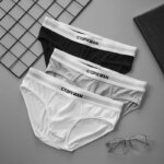 Paquete de 3 Ropa Interior de verano de una sola capa para Hombre, calzoncillos de tiro bajo para Hombre, calzoncillos elásticos cómodos, Ropa Interior para Hombre