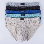 Lote de 2/3/5 Calzoncillos para Hombre, Alta Calidad, 100% Algodón, Estampados, Holgados, Tallas Grandes, Calzoncillos Cortos Juveniles para Hombre