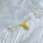 Tanga para mujer de nylon - Imagen 4