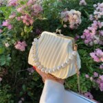 Bolso De Mujer Plisado Con Cadena De Perlas Bolso Bandolera 067