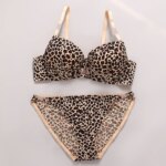 DaiNaFang-Conjunto de sujetador de encaje de dos piezas para mujer, ropa interior con estampado de leopardo, diseño hermoso, lencería femenina con diamantes de imitación - Imagen 2