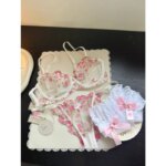 Sujetador con aros y bordado de encaje transparente para mujer europea, soporte para busto grande, minimizador, antideslizante, lencería suave, conjunto de sujetador S-XL - Imagen 4