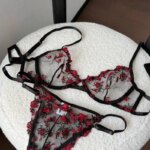 Sujetador con aros y bordado de encaje transparente para mujer europea, soporte para busto grande, minimizador, antideslizante, lencería suave, conjunto de sujetador S-XL - Imagen 3