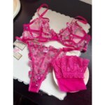 Sujetador con aros y bordado de encaje transparente para mujer europea, soporte para busto grande, minimizador, antideslizante, lencería suave, conjunto de sujetador S-XL - Imagen 6