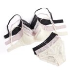 Conjunto de lencería Sexy de encaje bordado para mujer, sujetador de realce de copa fina francesa, ropa interior cómoda y transpirable, conjunto de bragas y sujetador para mujer
